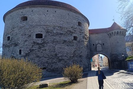 Medieval Tallinn - Carnivals, Punishments, Epidemics