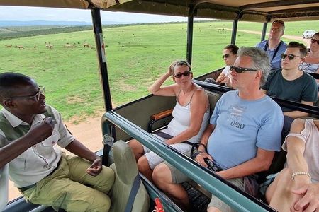 Full day Safari with BBQ Lunch in Addo Elephant National Park.