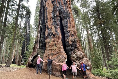 Transformative Outdoor Day Retreat Among the Giant Sequoias