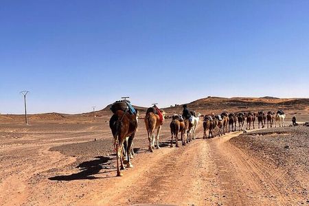 Errachidia to Merzouga: 3-Day Sahara Tour with Camel Trek