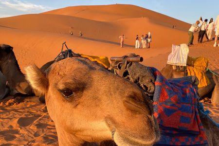 Errachidia to Merzouga: 3-Day Sahara Tour with Camel Trek