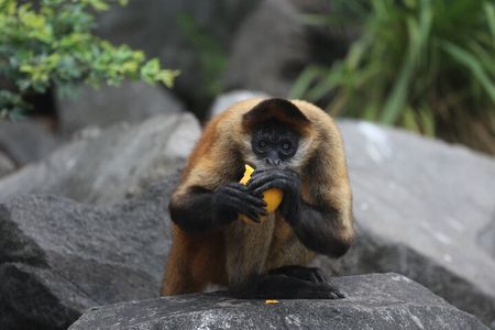 Granada Islets Boat Tour (The best in town) 