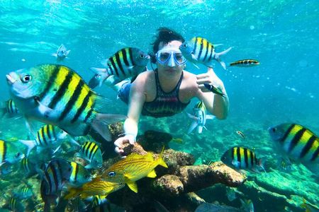 5 Stop Boat Tour Rosario Islands with Lunch, Forts, & Snorkeling