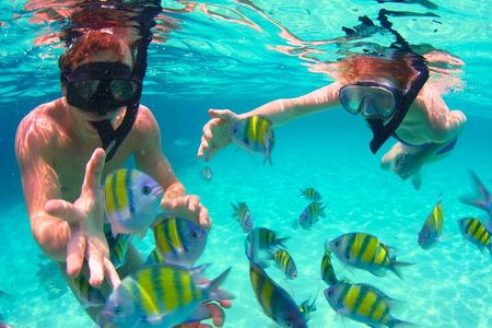 Boat Tour of 5 Must See Points in the Rosario Islands with Lunch
