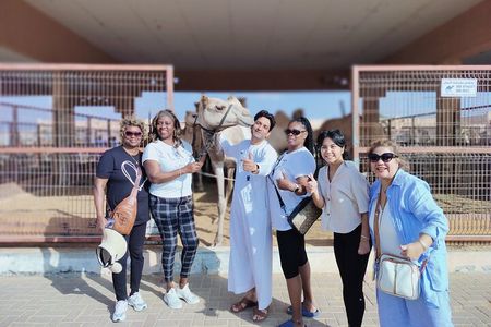 Al Ain City Tour from Dubai: Guided Cultural Forts & Scenic Views