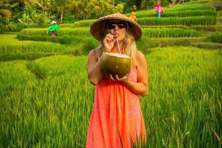 Bali Customized Day Tour With English Speaking Driver