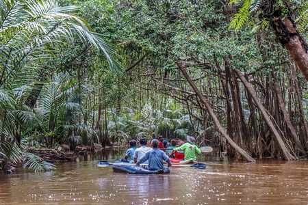 Mangrove Canoeing at Little Amazon Takuapa from Khaolak