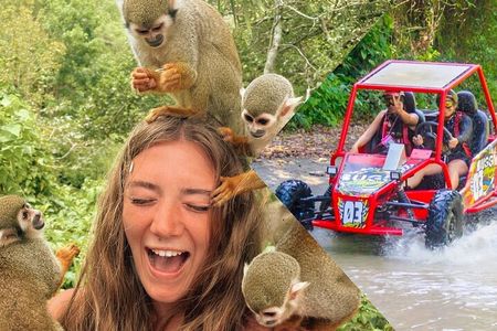 2x1: Monkeys Land Plus Drive a Dune Buggy in Puerto Plata