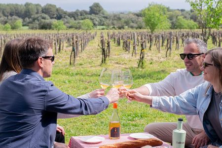 Picnic and wine tasting among the vineyards in l'Empordà