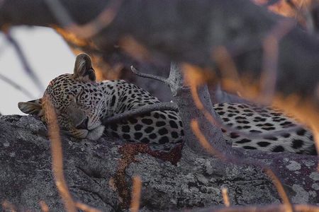 4 Days Group Camping Safari