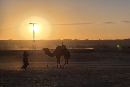 Sunset Camel Ride with Dinner and Show in Agafay Desert