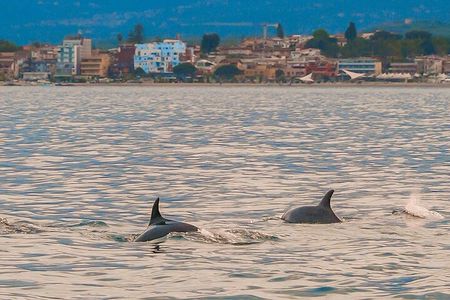 Boat tour Giardini Naxos Taormina Isola Bella Blue Grotto