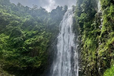 Materuni Waterfalls and Hot Springs Private Tour