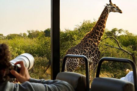 4 Day Kruger Glamping Safari and Panorama Tour