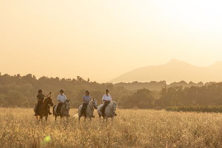 Horse Riding and Wine Tasting Experience