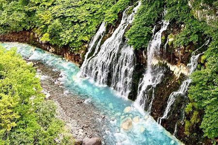 Hokkaido Farm Tomita Shikisai Hill Waterfall& Blue Pond Day Tour 
