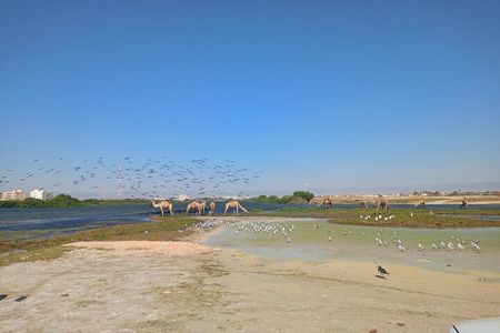 Private Salalah City 4WD Tour Adventure