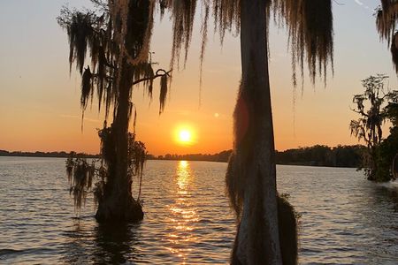 Pontoon Lake Tours 