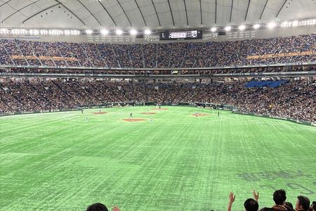 Catch a Baseball Game in Tokyo with a Local - Tickets Included