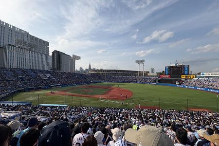 Catch a Baseball Game in Tokyo with a Local - Tickets Included