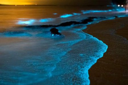 Bioluminescent Plankton, Sea Canoes & Sunset at James Bond Island