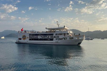 Full-Day Dalyan Boat Tour: Turtle Beach & Mud Bath in Marmaris 