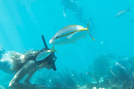Key West: Sunset Sail + Reef Snorkel & Sandbar