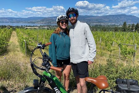 Kelowna Guided E-Bike Wine Tour with Tastings and Okanagan Lunch