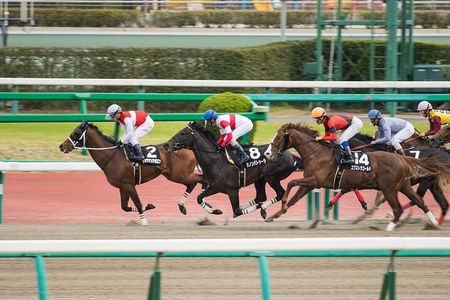 Horse Racing Tour with Local Fans in Nakayama Racecourse