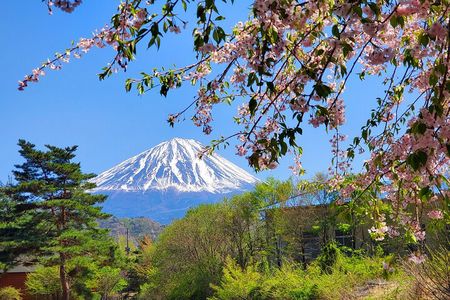 Guided Mount Fuji Private Tour GREEN NUMBER PLATES