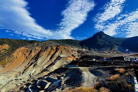 Hakone Full-Day Private Tour from Tokyo (Customizable)
