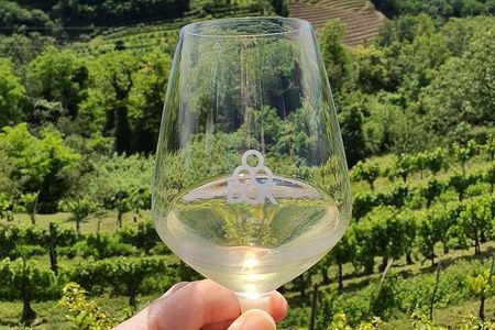 Milan Wine Escape Wine Tasting Historic Villages and Lunch