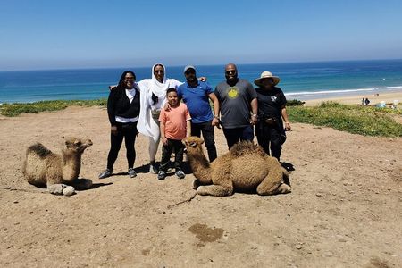 Private Tour of Tangier: Exploration and Camel Ride Included 