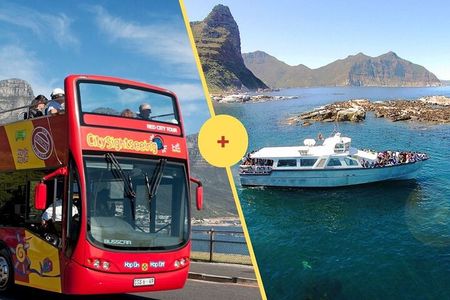Cape Town Hop On Hop Off Bus and Seal Island Cruise Adventure