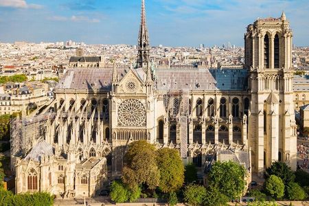 Private Notre Dame Exterior Guided Walking Tour
