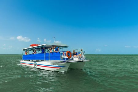 St. Augustine Wildlife Adventure: Boat Cruise & Kayak Eco Tour