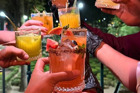 Mexican Mixology Workshop with Panoramic View in Coyoacán
