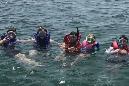 Swim with Dolphins And Snorkeling Group Tour
