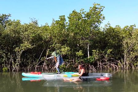 Scenic Mangrove Tunnel Paddle Tour – New Smyrna Beach