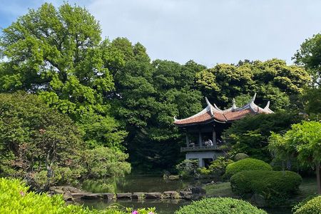 Discover the History of Shinjuku Gyoen – Private Walking Tour