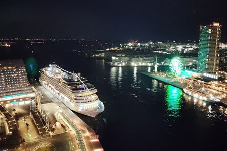 Kobe: Glamorous Harbor Lights & Tower Panorama