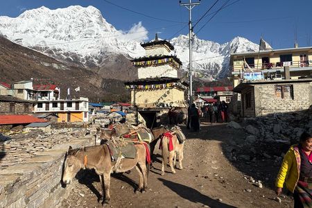 Manaslu Tsum Valley Trek 21 Days