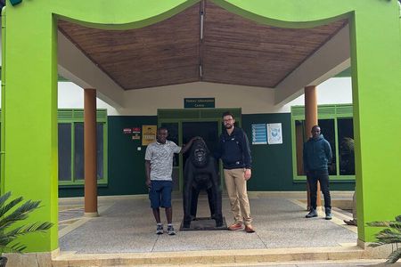 3 Day Gorilla Tracking in Bwindi Forest