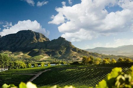 Stellenbosch Wine Tasting Tour