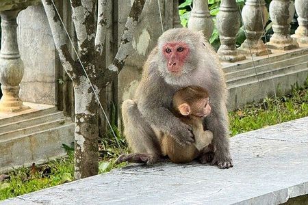  Marble Mountain -Buddha Statue -PeakMonkey Mountain -PRIVATE CAR