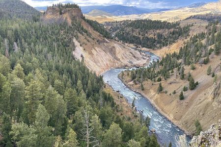 Yellowstone Private Tour