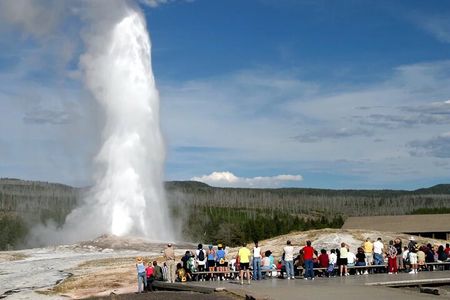 Yellowstone Private Tour