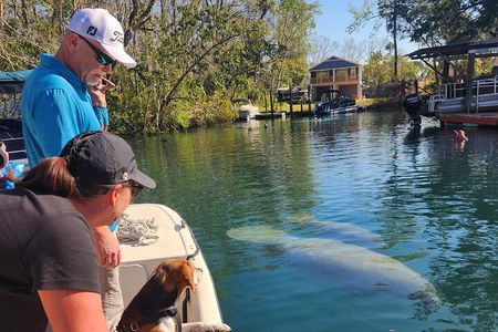 Private Crystal River Wildlife Boat Tour 