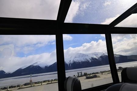 Private Wildlife, Glacier & Gold Panning (Panoramic Van – Max 9)