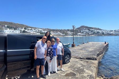 Private Tour- 4 Hours Mykonos Island